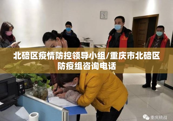 北碚区疫情防控领导小组/重庆市北碚区防疫组咨询电话