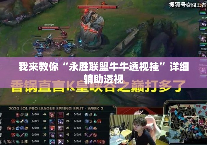 我来教你“永胜联盟牛牛透视挂	”详细辅助透视