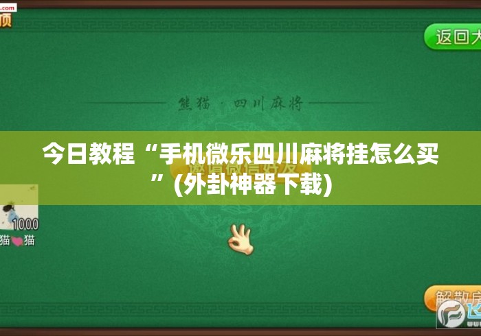 今日教程“手机微乐四川麻将挂怎么买”(外卦神器下载)