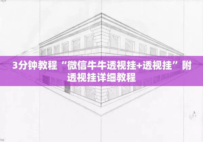 3分钟教程“微信牛牛透视挂+透视挂	”附透视挂详细教程