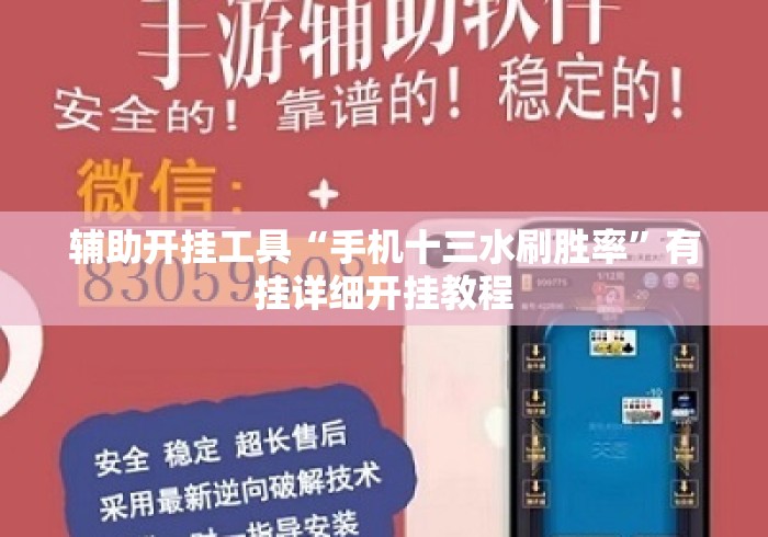 辅助开挂工具“手机十三水刷胜率”有挂详细开挂教程