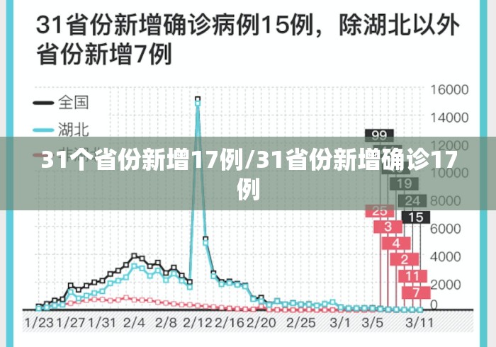 31个省份新增17例/31省份新增确诊17例 31个省份新增17例/31省份新增确诊17例