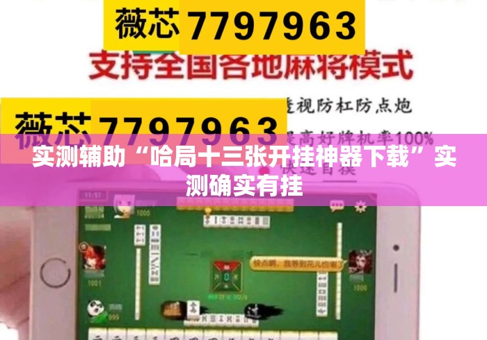 实测辅助“哈局十三张开挂神器下载”实测确实有挂