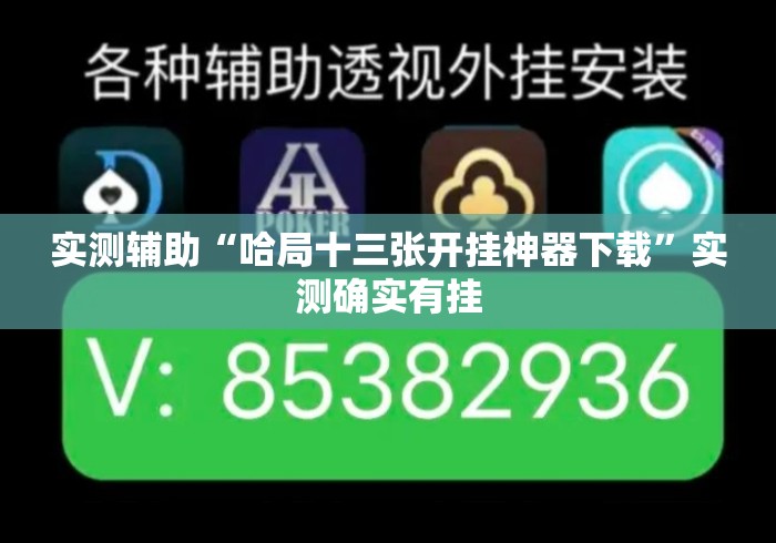 实测辅助“哈局十三张开挂神器下载	”实测确实有挂
