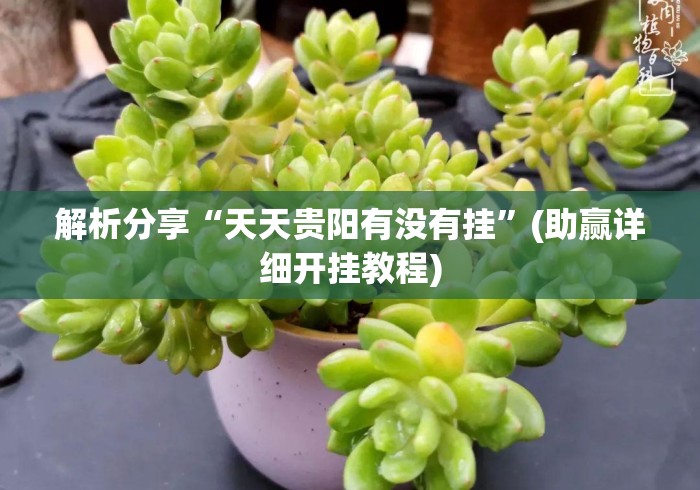 解析分享“天天贵阳有没有挂	”(助赢详细开挂教程)