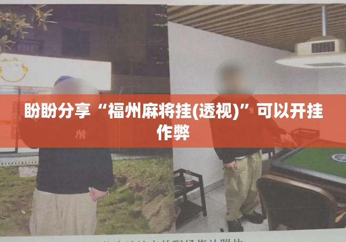 盼盼分享“福州麻将挂(透视)”可以开挂作弊