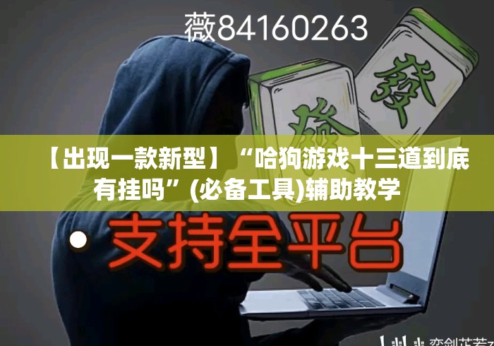 【出现一款新型】“哈狗游戏十三道到底有挂吗	”(必备工具)辅助教学