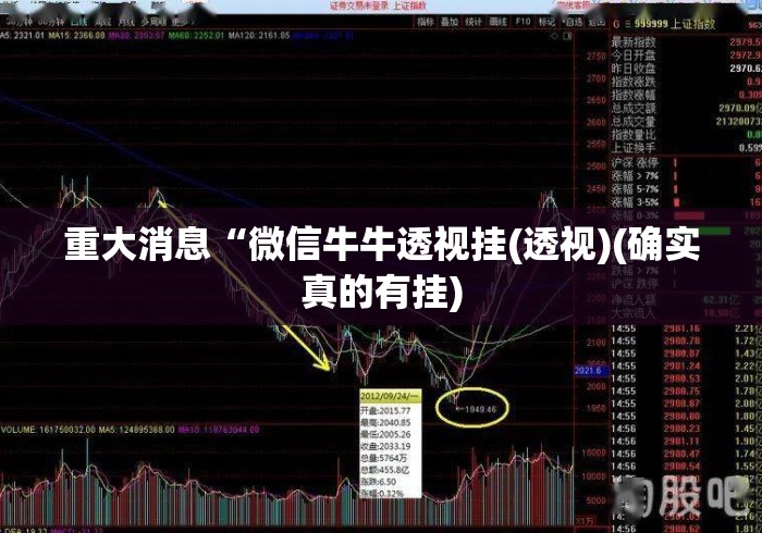 重大消息“微信牛牛透视挂(透视)(确实真的有挂)