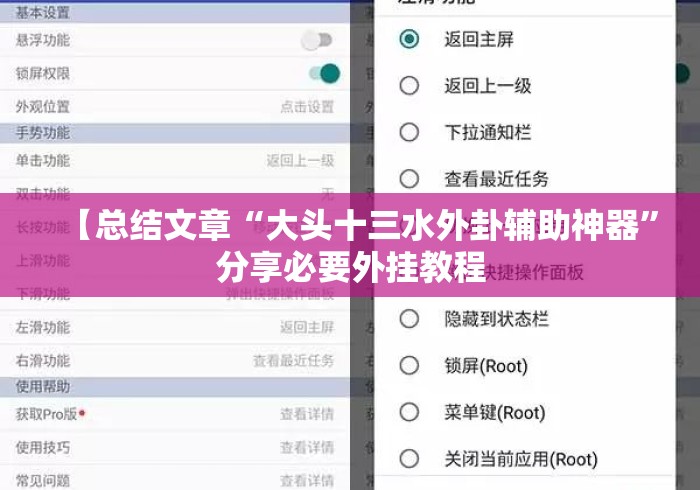 【总结文章“大头十三水外卦辅助神器	”分享必要外挂教程