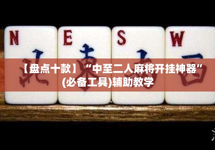 【盘点十款】“中至二人麻将开挂神器”(必备工具)辅助教学