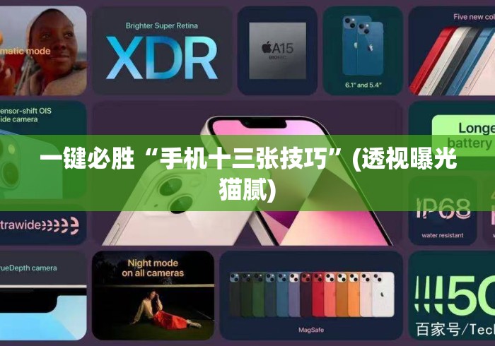 一键必胜“手机十三张技巧”(透视曝光猫腻)