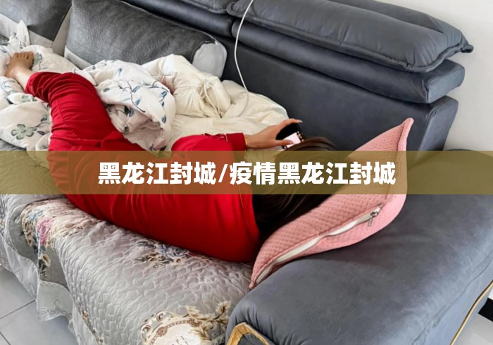 黑龙江封城/疫情黑龙江封城
