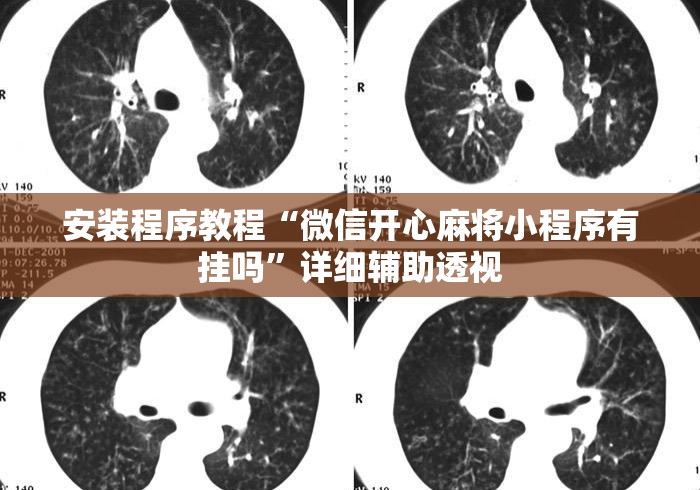安装程序教程“微信开心麻将小程序有挂吗”详细辅助透视