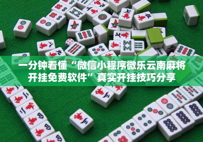 一分钟看懂“微信小程序微乐云南麻将开挂免费软件”真实开挂技巧分享