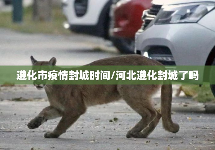 遵化市疫情封城时间/河北遵化封城了吗 遵化市疫情封城时间/河北遵化封城了吗