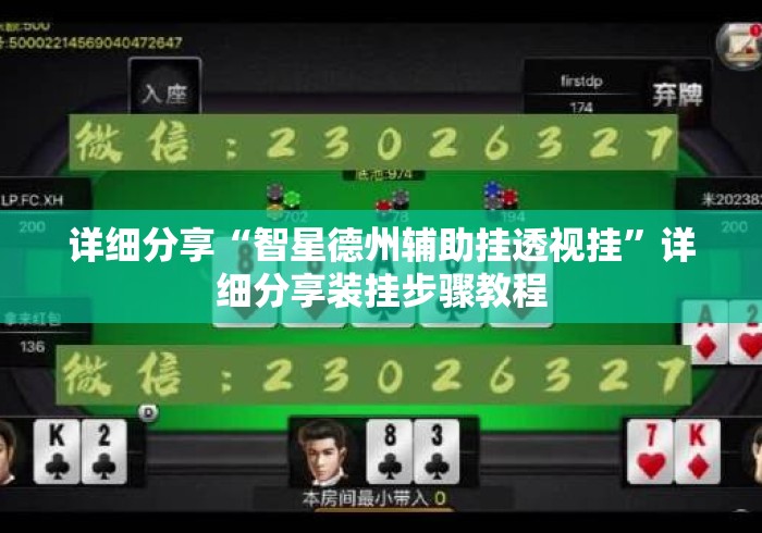 详细分享“智星德州辅助挂透视挂”详细分享装挂步骤教程