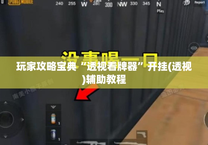 玩家攻略宝典“透视看牌器	”开挂(透视)辅助教程