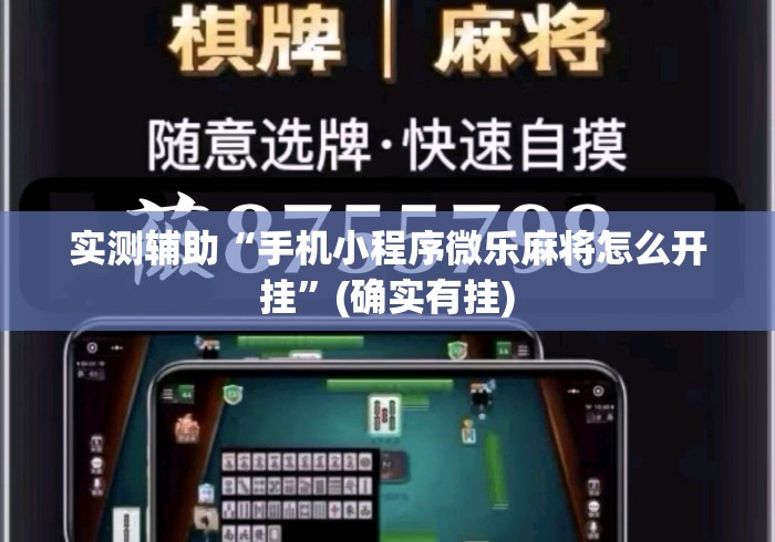 实测辅助“手机小程序微乐麻将怎么开挂”(确实有挂)