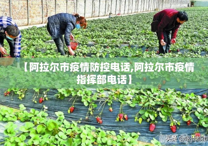 【阿拉尔市疫情防控电话,阿拉尔市疫情指挥部电话】