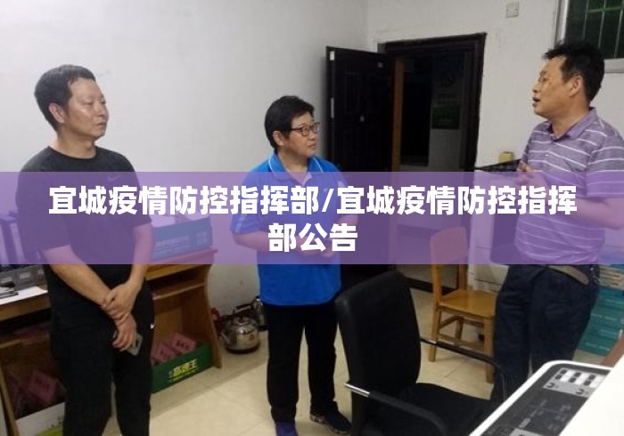 宜城疫情防控指挥部/宜城疫情防控指挥部公告