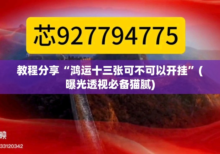 教程分享“鸿运十三张可不可以开挂”(曝光透视必备猫腻)