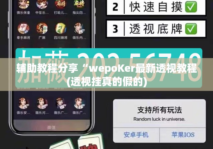 辅助教程分享“wepoKer最新透视教程(透视挂真的假的) 辅助教程分享“wepoKer最新透视教程(透视挂真的假的)