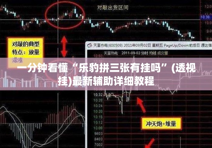 一分钟看懂“乐豹拼三张有挂吗	”(透视挂)最新辅助详细教程