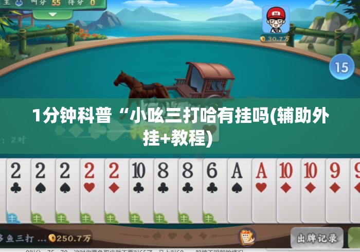 1分钟科普“小吆三打哈有挂吗(辅助外挂+教程) 
