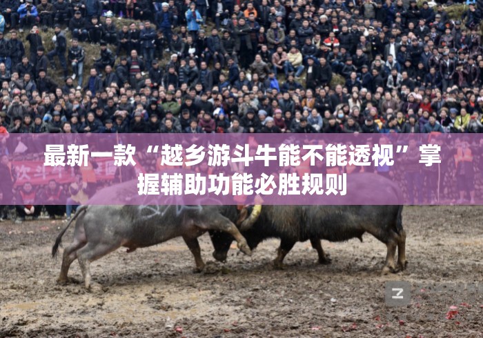 最新一款“越乡游斗牛能不能透视”掌握辅助功能必胜规则