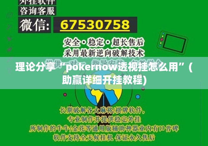理论分享“pokernow透视挂怎么用”(助赢详细开挂教程)