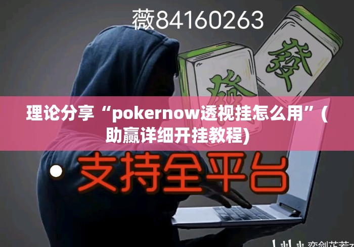 理论分享“pokernow透视挂怎么用	”(助赢详细开挂教程)