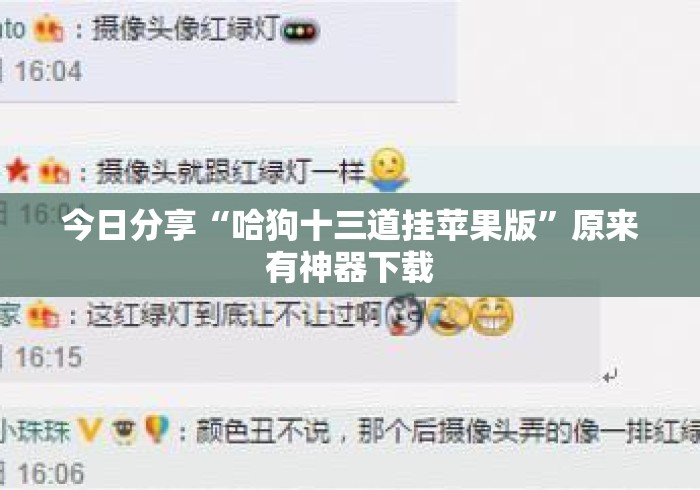 今日分享“哈狗十三道挂苹果版”原来有神器下载