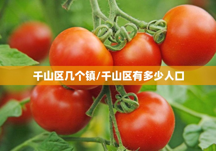 千山区几个镇/千山区有多少人口 千山区几个镇/千山区有多少人口