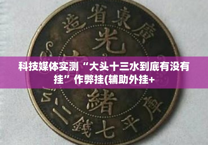 科技媒体实测“大头十三水到底有没有挂”作弊挂(辅助外挂+
