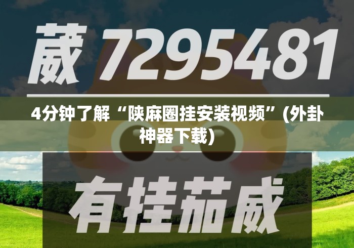4分钟了解“陕麻圈挂安装视频”(外卦神器下载)