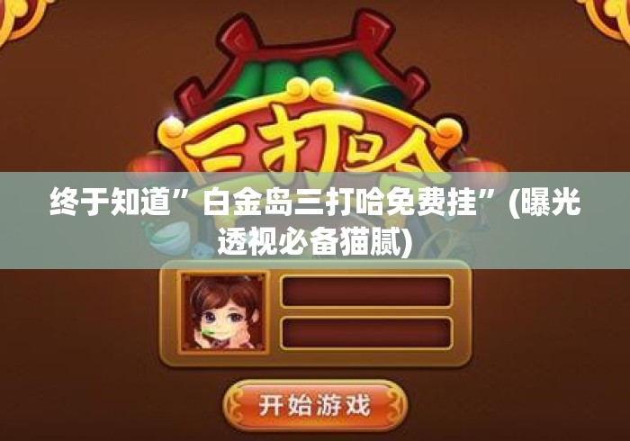 终于知道”白金岛三打哈免费挂”(曝光透视必备猫腻)