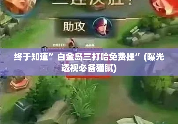 终于知道	”白金岛三打哈免费挂”(曝光透视必备猫腻)