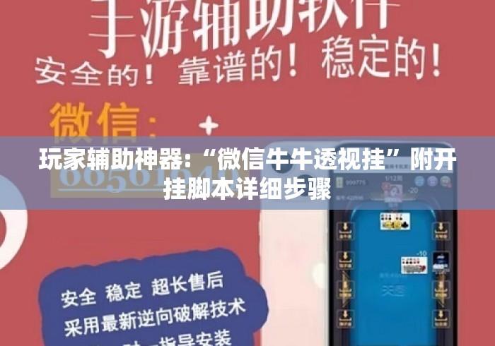 玩家辅助神器:“微信牛牛透视挂”附开挂脚本详细步骤