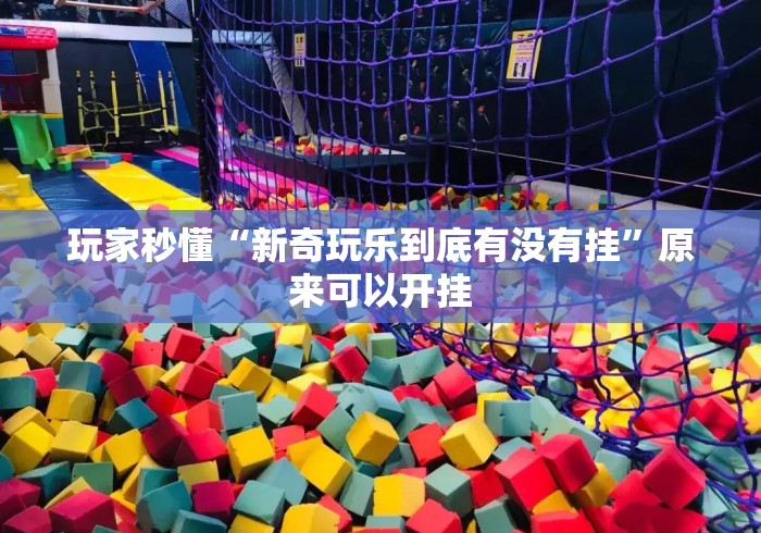 玩家秒懂“新奇玩乐到底有没有挂	”原来可以开挂