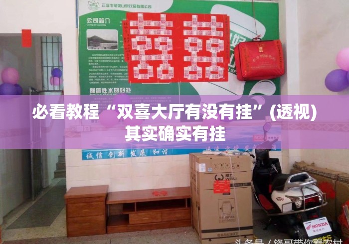 必看教程“双喜大厅有没有挂	”(透视)其实确实有挂