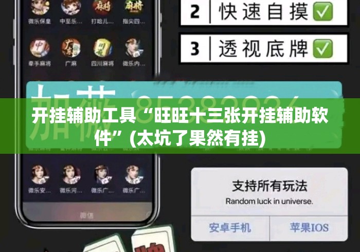 开挂辅助工具“旺旺十三张开挂辅助软件”(太坑了果然有挂)