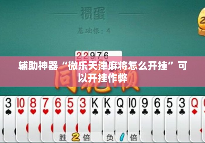 辅助神器“微乐天津麻将怎么开挂”可以开挂作弊
