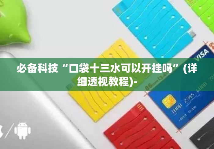 必备科技“口袋十三水可以开挂吗”(详细透视教程)-