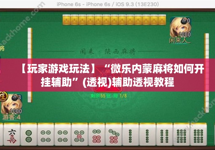 【玩家游戏玩法】“微乐内蒙麻将如何开挂辅助”(透视)辅助透视教程
