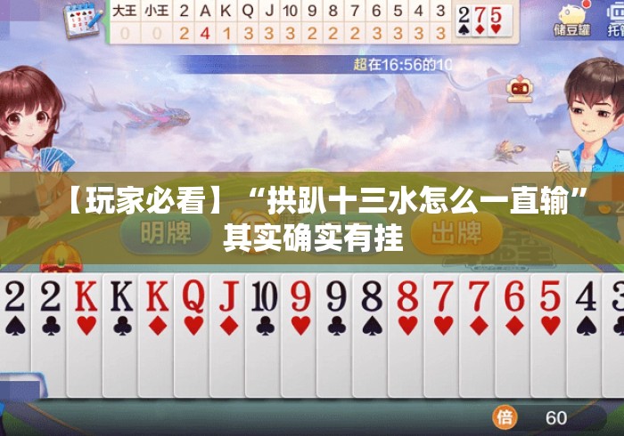 【玩家必看】“拱趴十三水怎么一直输”其实确实有挂