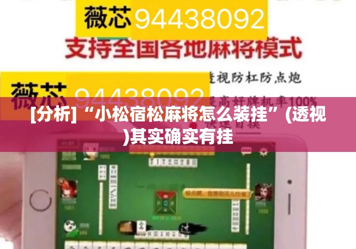 [分析]“小松宿松麻将怎么装挂”(透视)其实确实有挂