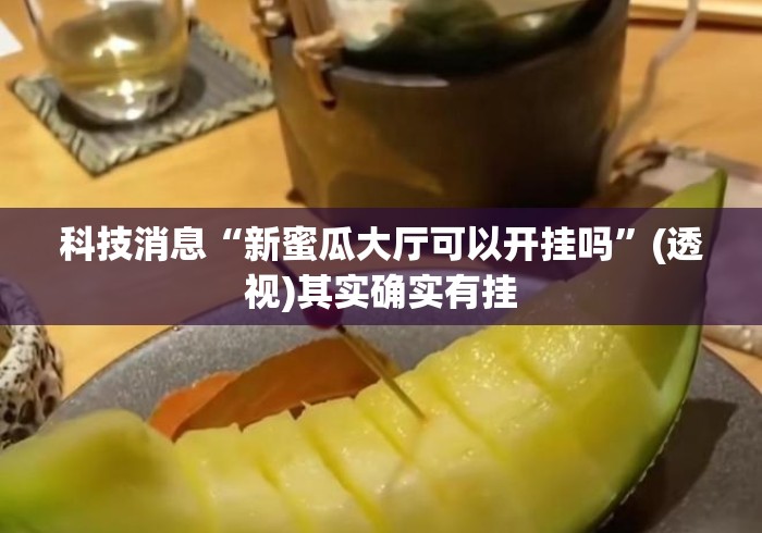 科技消息“新蜜瓜大厅可以开挂吗”(透视)其实确实有挂