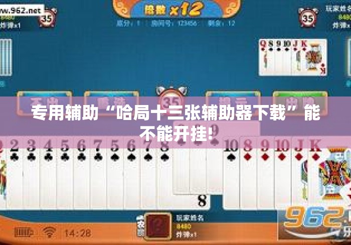 专用辅助“哈局十三张辅助器下载”能不能开挂!