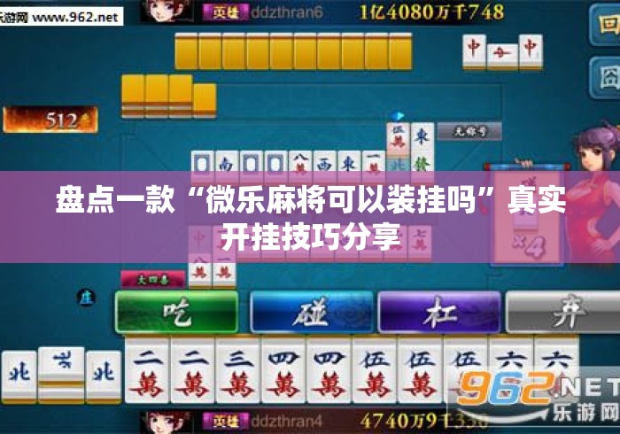 盘点一款“微乐麻将可以装挂吗”真实开挂技巧分享