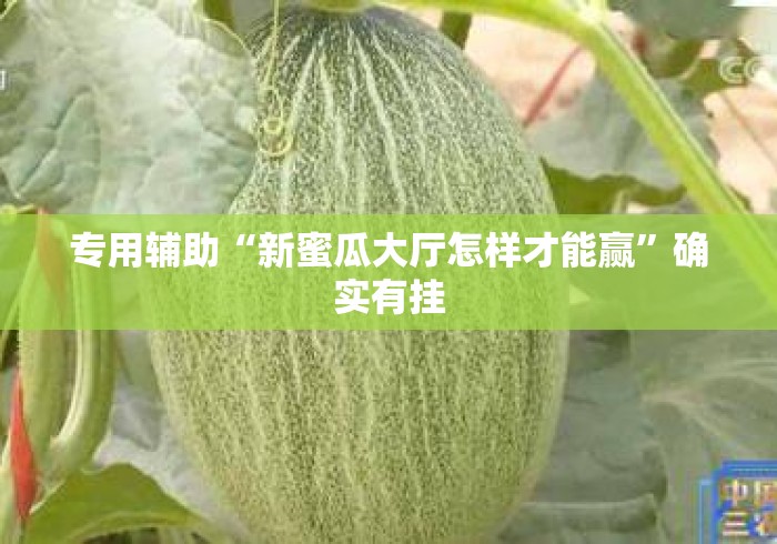 专用辅助“新蜜瓜大厅怎样才能赢”确实有挂